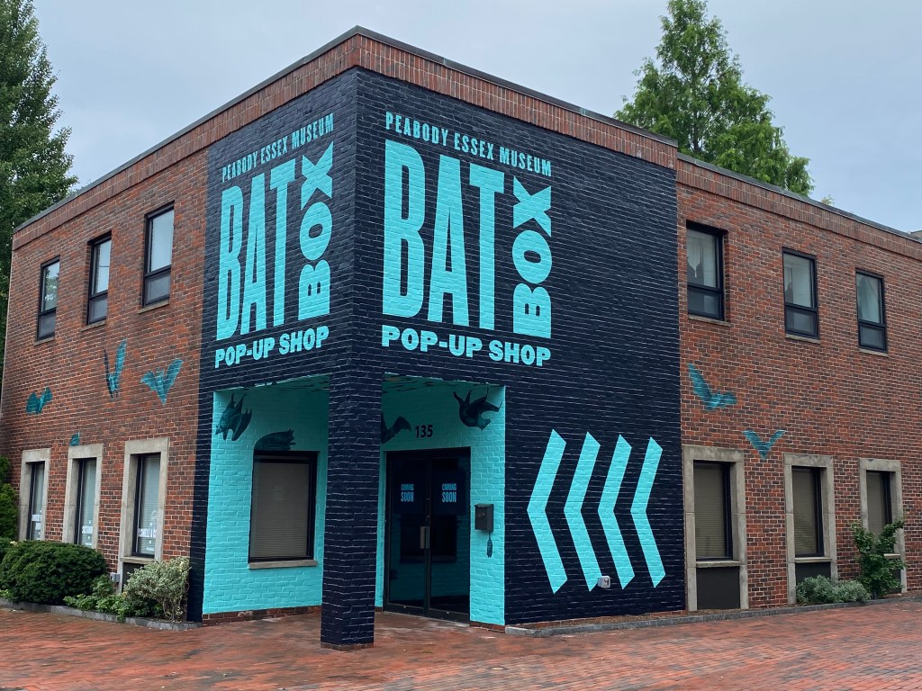 Brick Building wrap
