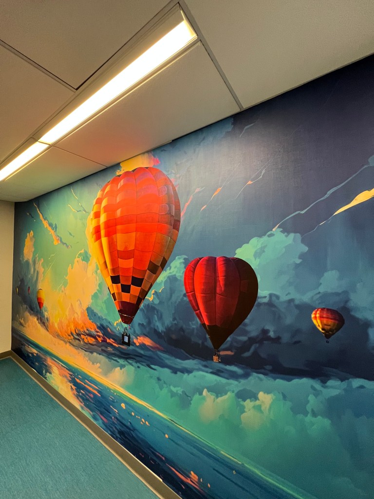 Air Balloons Wall graphics design custom print