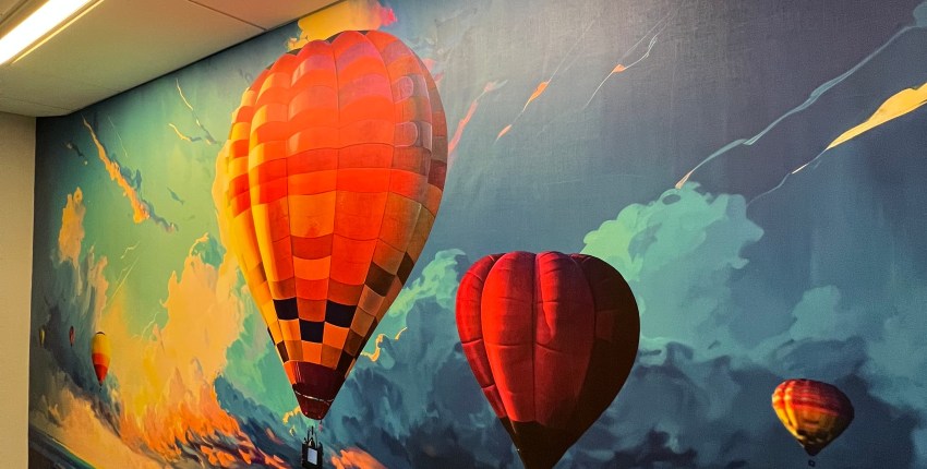 Air Balloons Wall graphics design custom print